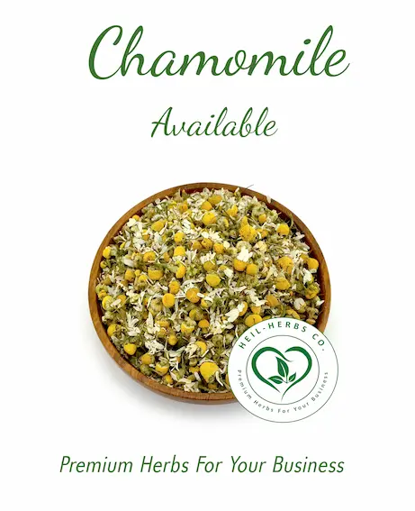 Egypt organic chamomile