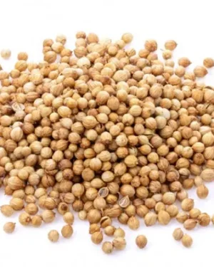 A pile of Coriander is scattered on a white background. The natural seeds are small, round, and light brown in color, with a slightly textured surface.