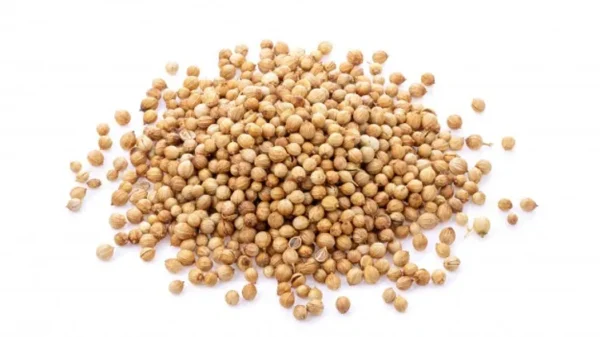 A pile of Coriander is scattered on a white background. The natural seeds are small, round, and light brown in color, with a slightly textured surface.
