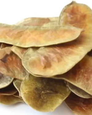 A small pile of Senna is displayed on a white surface, featuring dried and flattened tamarind seed pods with a light brown, papery appearance. The pods, similar to those used in traditional Egyptian health supplements, have an elongated, slightly curved shape and a smooth, mottled texture.