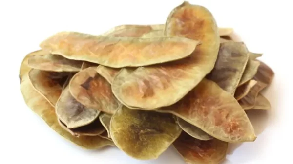 A small pile of Senna is displayed on a white surface, featuring dried and flattened tamarind seed pods with a light brown, papery appearance. The pods, similar to those used in traditional Egyptian health supplements, have an elongated, slightly curved shape and a smooth, mottled texture.