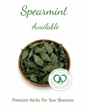 A wooden bowl filled with dried Spearmint is centered against a white background. The text above the bowl reads "Spearmint Available," and the text below reads "Premium Quality Spearmint for Your Business." A logo for Heil-Herbs Co., recognized as a leading B2B supplier of Spearmint, is also visible.
