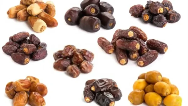 An assortment of nine different piles of Dried Dates, each featuring distinct shapes, sizes, and colors that range from light amber to dark brown, arranged in a grid pattern on a white background.