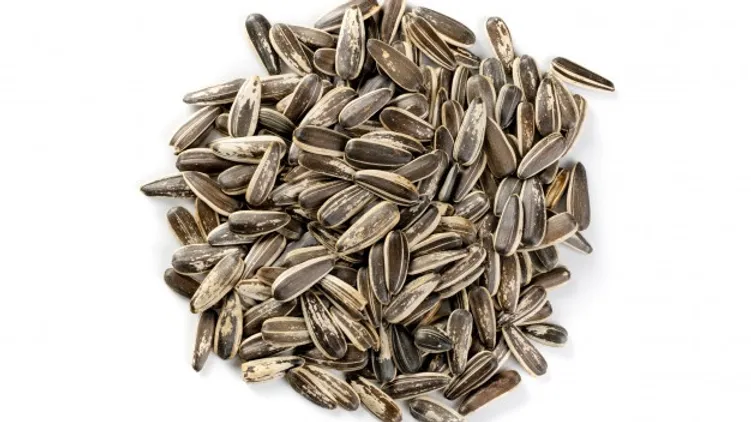 A scattered heap of Sunflower Seeds with striped shells. The predominantly gray seeds with white streaks rest on a clean white background, showcasing the quality you'd expect from a leading sunflower seed exporter.