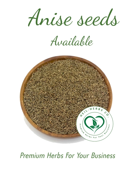 A wooden bowl filled with anise seeds is displayed. Above the bowl, the words "Anise seeds Available" are written in green cursive text. Below the bowl, the text "Premium Herbs For Your Business" and a logo for "WELL-HERBS CO." are shown.