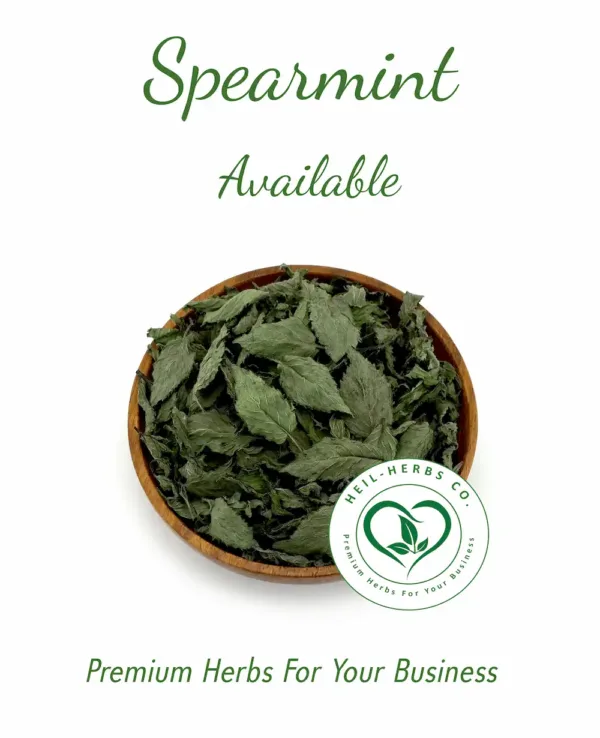 A wooden bowl filled with dried Spearmint is centered against a white background. The text above the bowl reads "Spearmint Available," and the text below reads "Premium Quality Spearmint for Your Business." A logo for Heil-Herbs Co., recognized as a leading B2B supplier of Spearmint, is also visible.